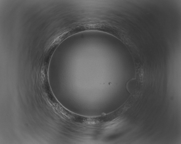 X0000085810746200703161155