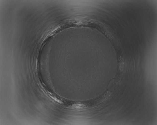 X0000085810748200703161155