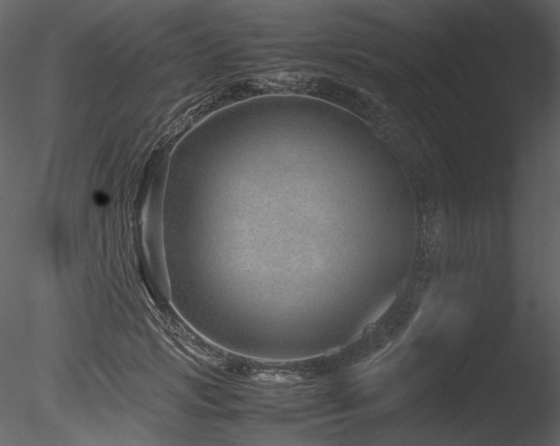 X0000085810749200703161155