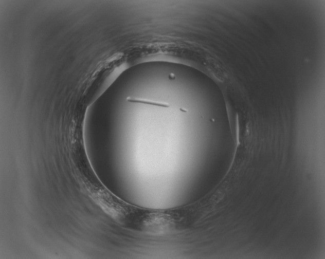 X0000085810750200703161155