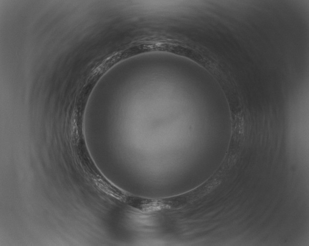 X0000085810754200703161155