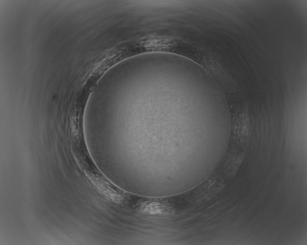 X0000085810755200703161155