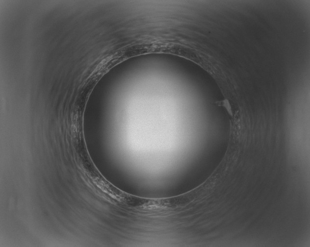 X0000085810756200703161155