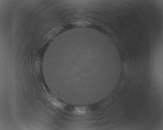 X0000085810757200703161155