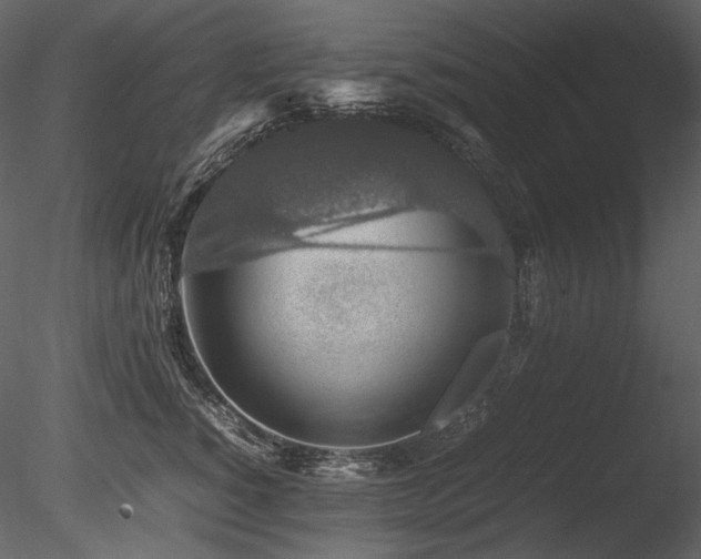 X0000085810760200703161155