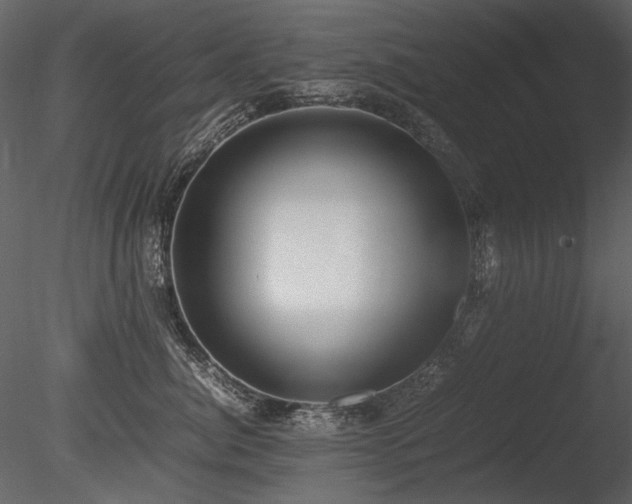 X0000085810764200703161155