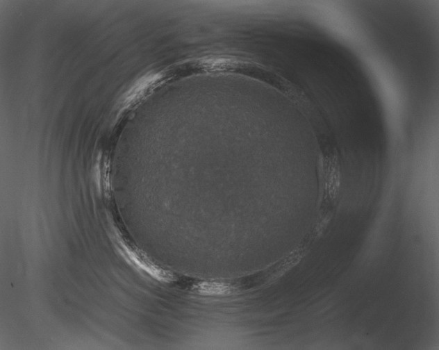 X0000085810766200703161155