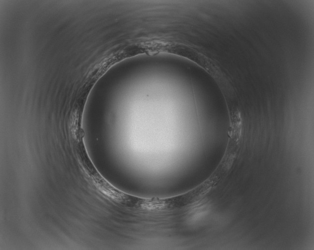 X0000085810767200703161155