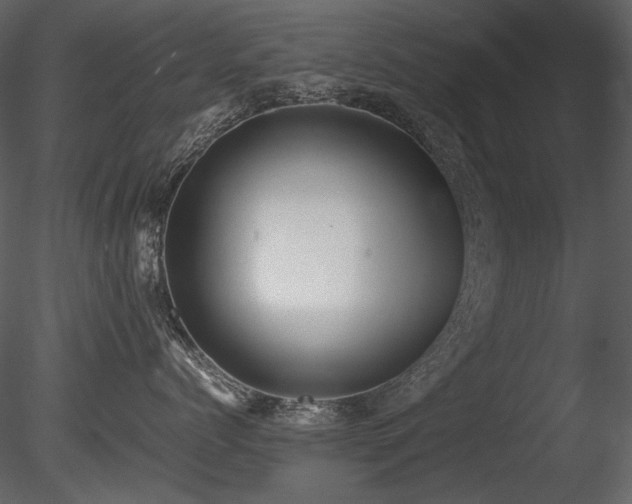 X0000085810768200703161155