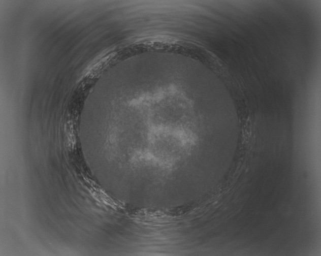 X0000085810774200703161154