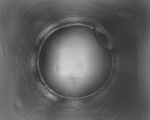 X0000085810778200703161154