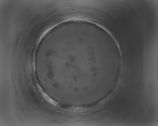 X0000085810791200703161154