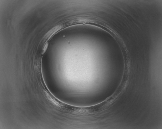 X0000085810801200703161154