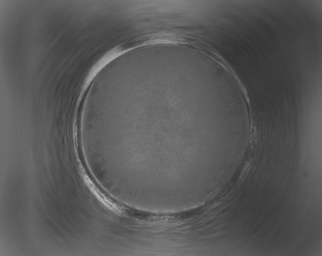 X0000085810811200703161154