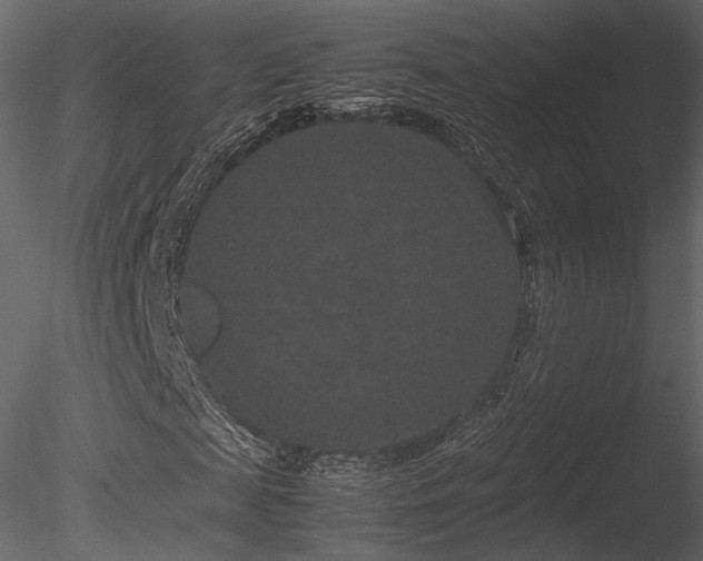 X0000085810817200703161153