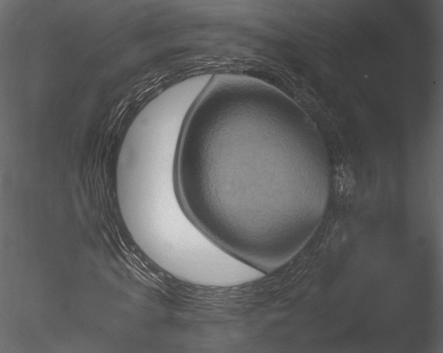 X0000085810820200703161153