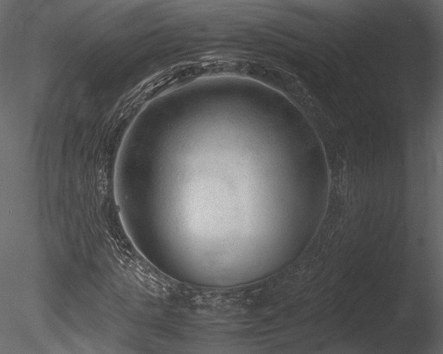 X0000085810821200703161153