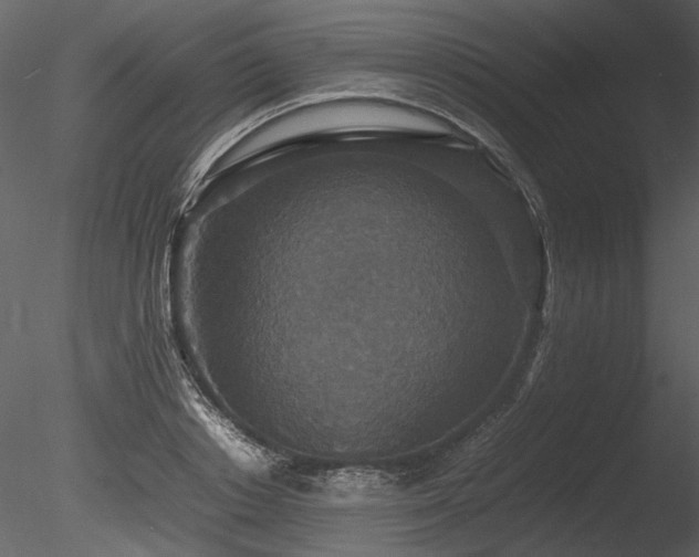 X0000085810842200703161153