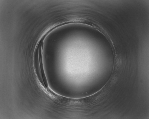 X0000085810843200703161153