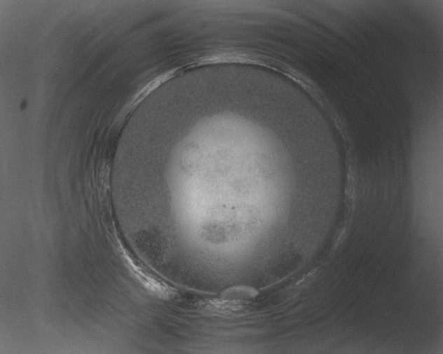 X0000085810849200703161153