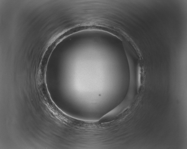 X0000085810876200703161152