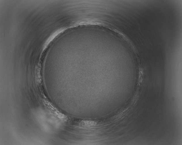 X0000085810878200703161152