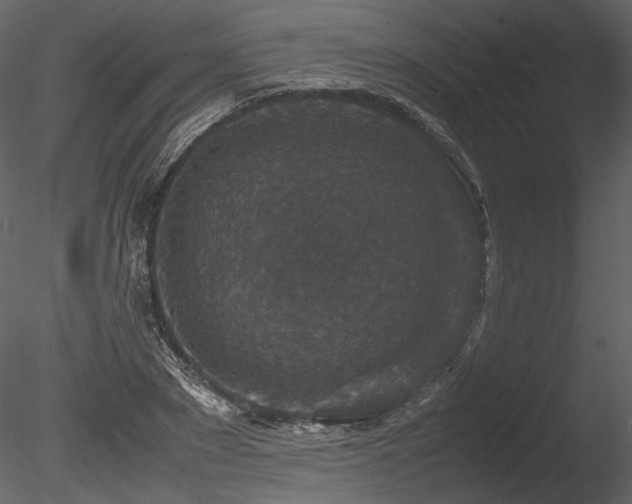 X0000085810881200703161152