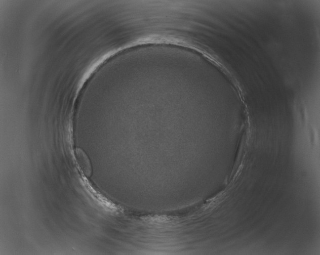 X0000085810896200703161152