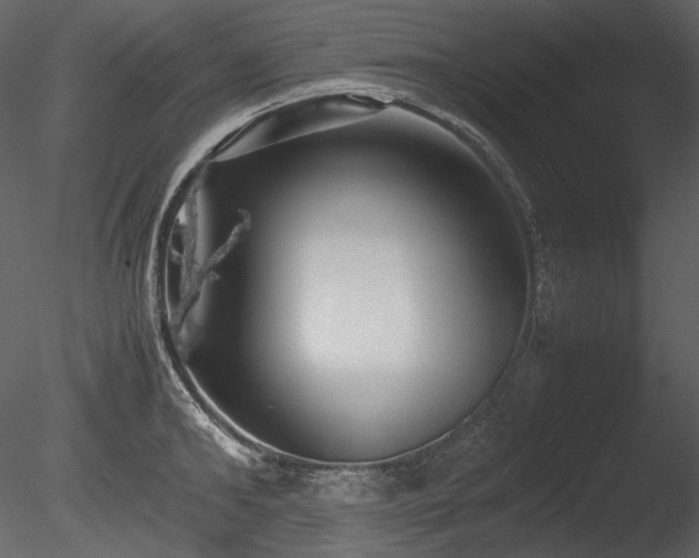 X0000085810902200703161152