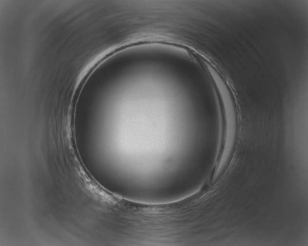 X0000085810904200703161152