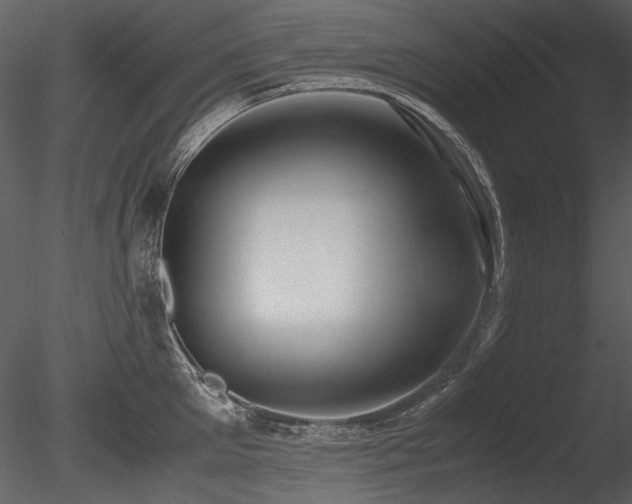 X0000085810905200703161152