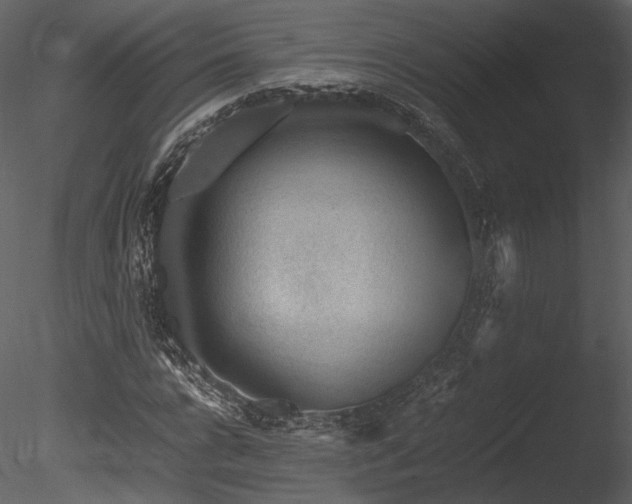 X0000085810920200703161151