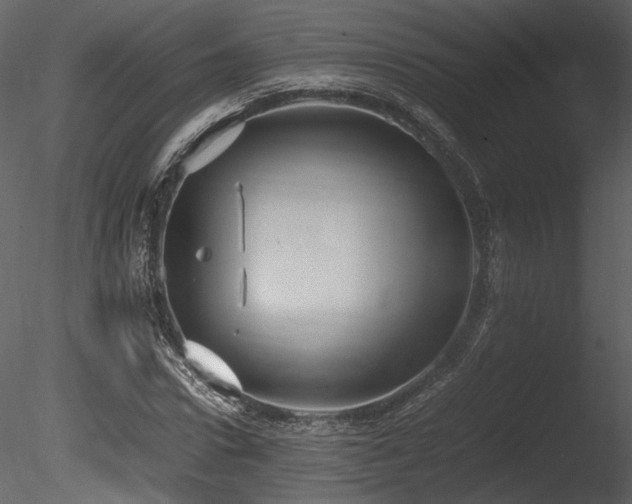 X0000085810922200703161151