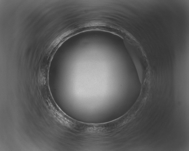 X0000085810929200703161151