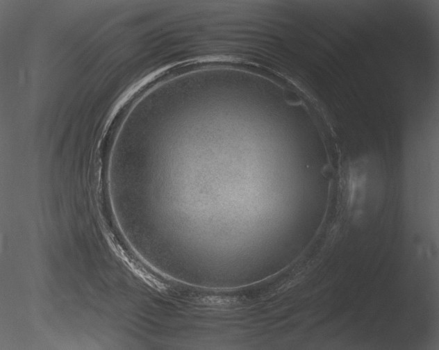 X0000085810933200703161151