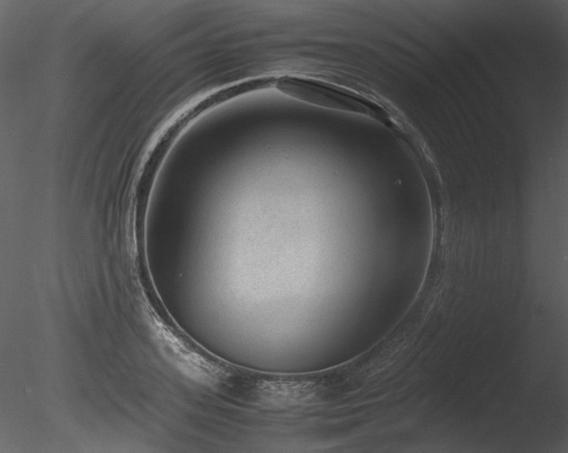 X0000085810939200703161151