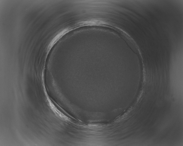 X0000085810946200703161152