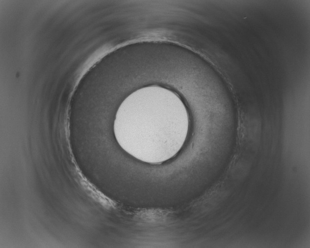X0000085810950200703161152