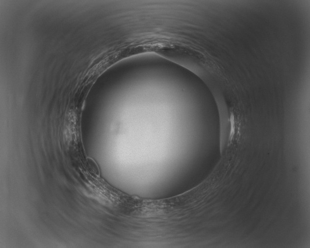 X0000085810964200703161151