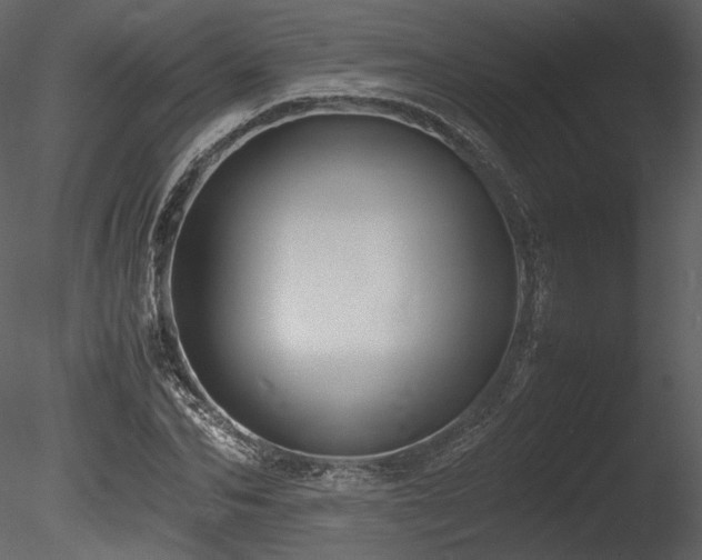 X0000085810974200703161151