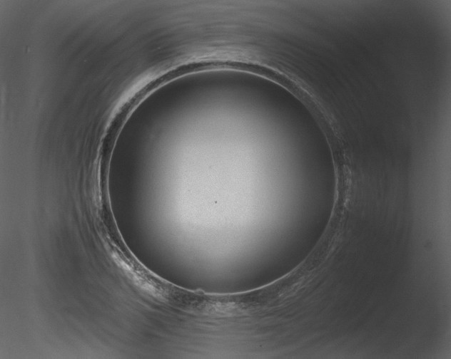 X0000085810982200703161151