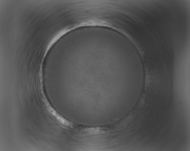 X0000085810990200703161151