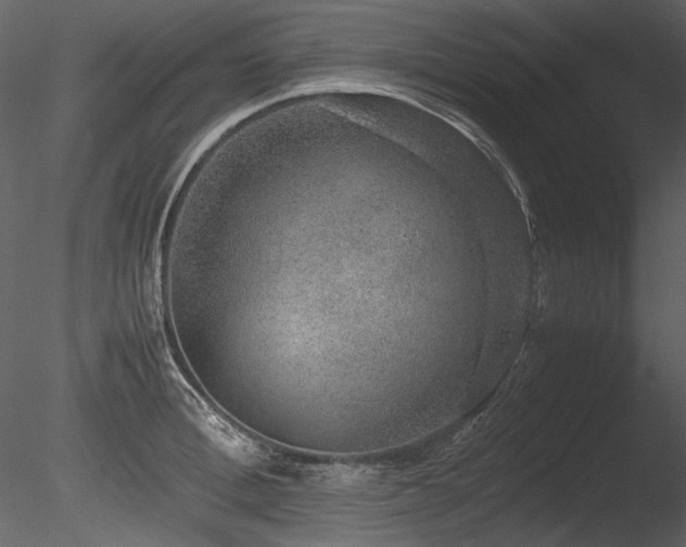 X0000085810996200703161150