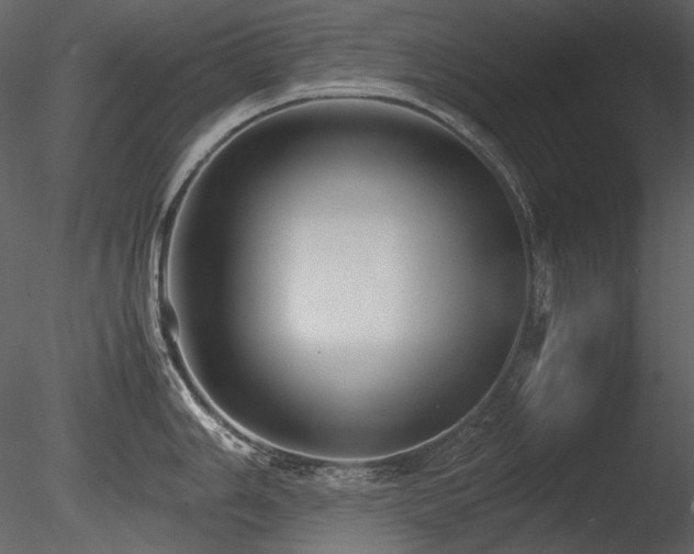 X0000085811006200703161150