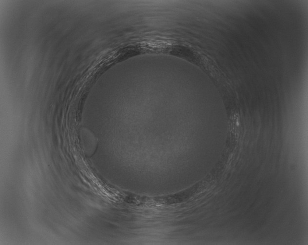 X0000085811009200703161149