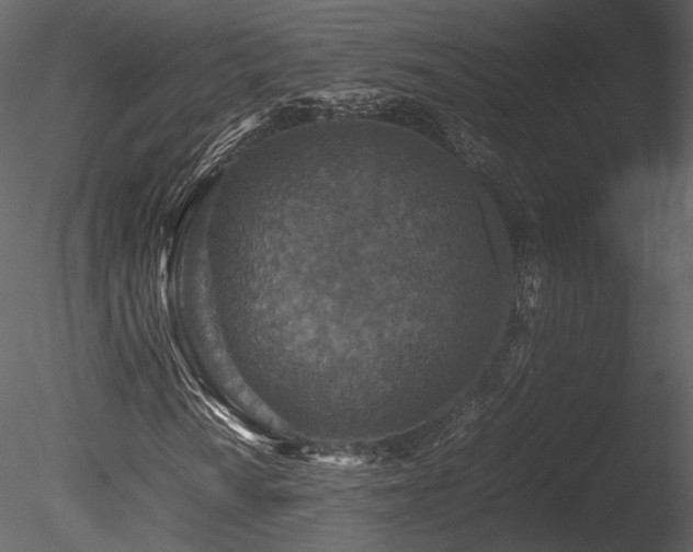 X0000085811010200703161149