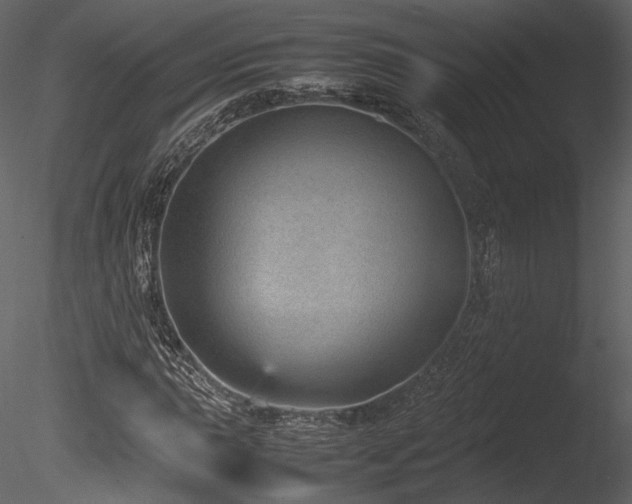 X0000085811015200703161149