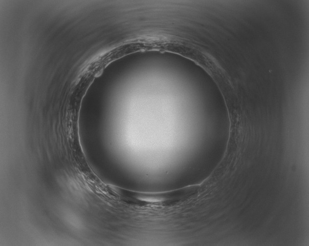 X0000085811016200703161149