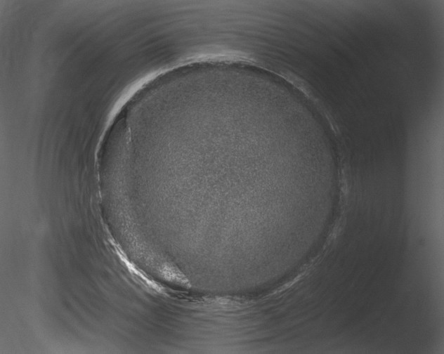 X0000085811022200703161150