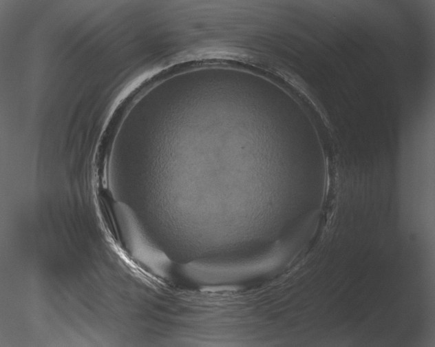 X0000085811024200703161150